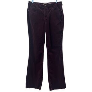 LOGO By Lori Goldstein Womens Burgundy Velvet Kick Boot Corduroy Pants Size 12
